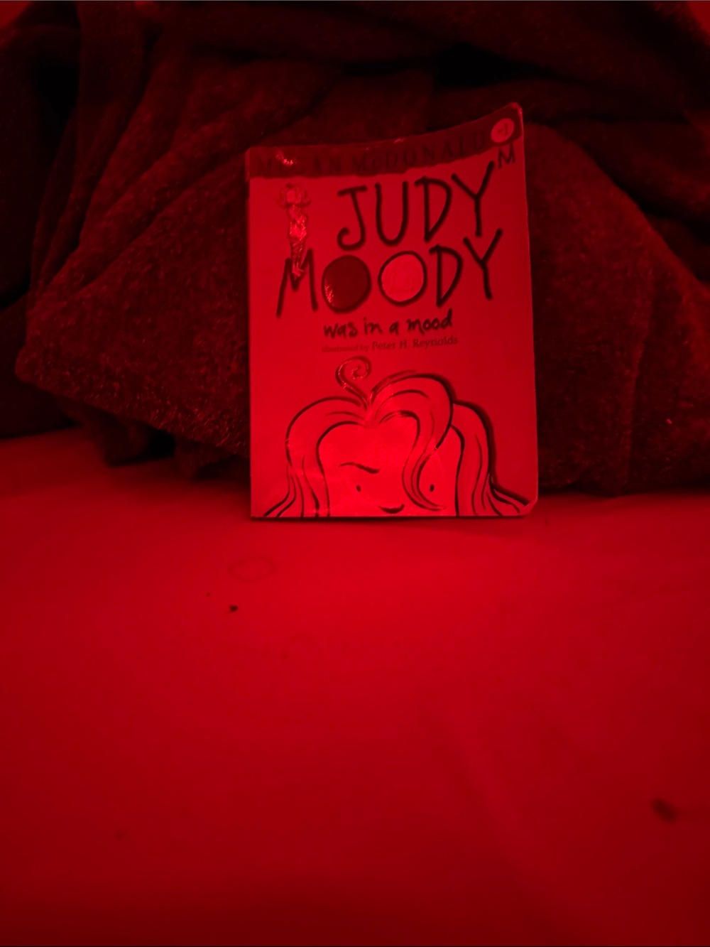 Judy moody was in a mood